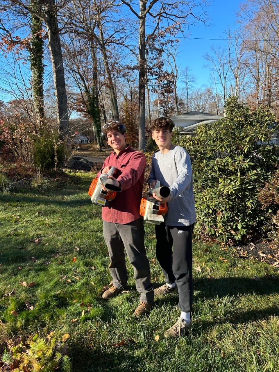 Early Iconic landscaping project