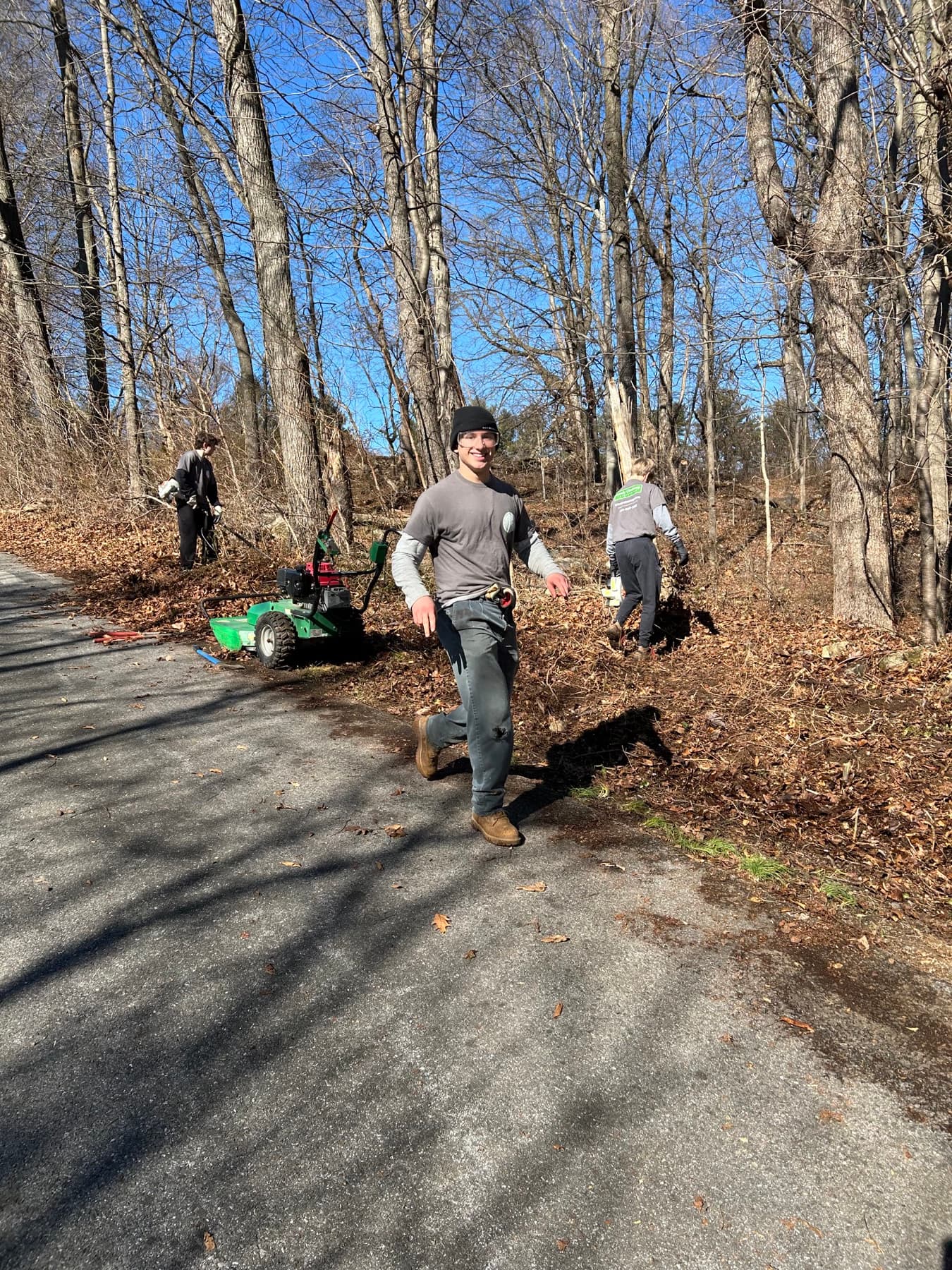 Overgrowth and Brush Cleanup Guide for Suburban Properties