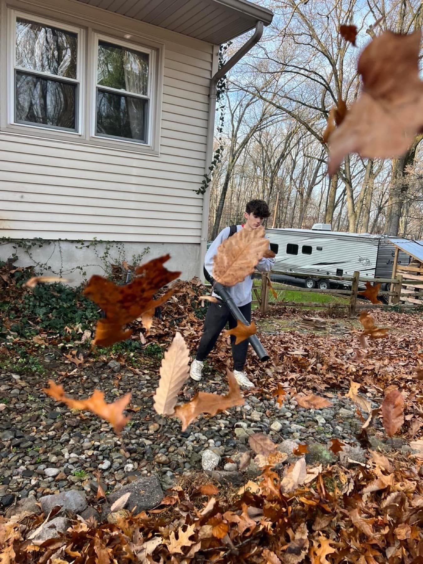 Leaf Removal Timing in Pennsylvania: When to Book and Why