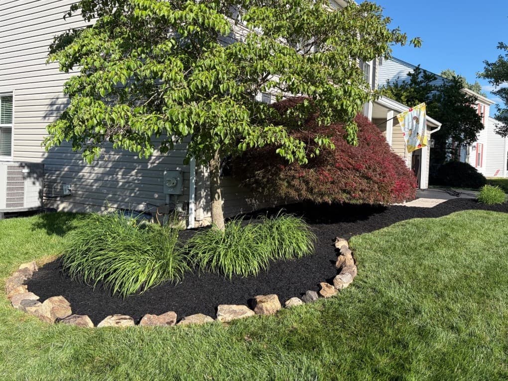 Side bed under a dogwood and Japanese maple, weeded and finished with fresh mulch inside a stone border