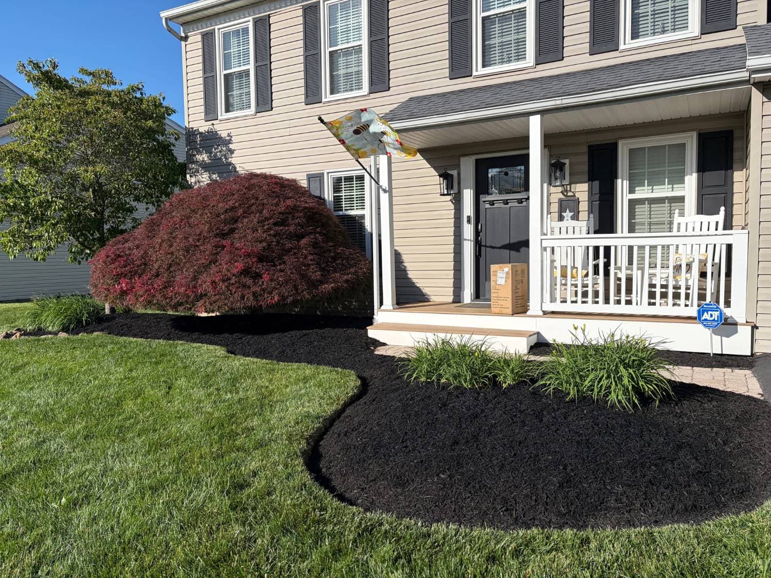 Front porch beds freshly mulched in black mulch with crisp curved edges around a Japanese maple