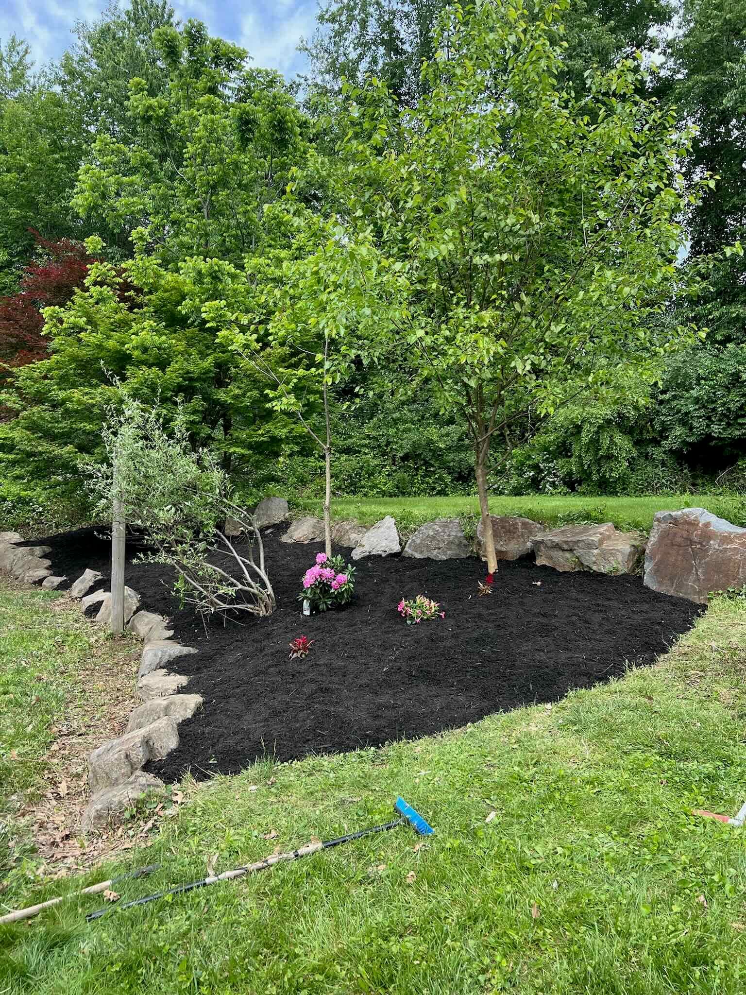 The same backyard bed after cleanup, edged and mulched around the boulders