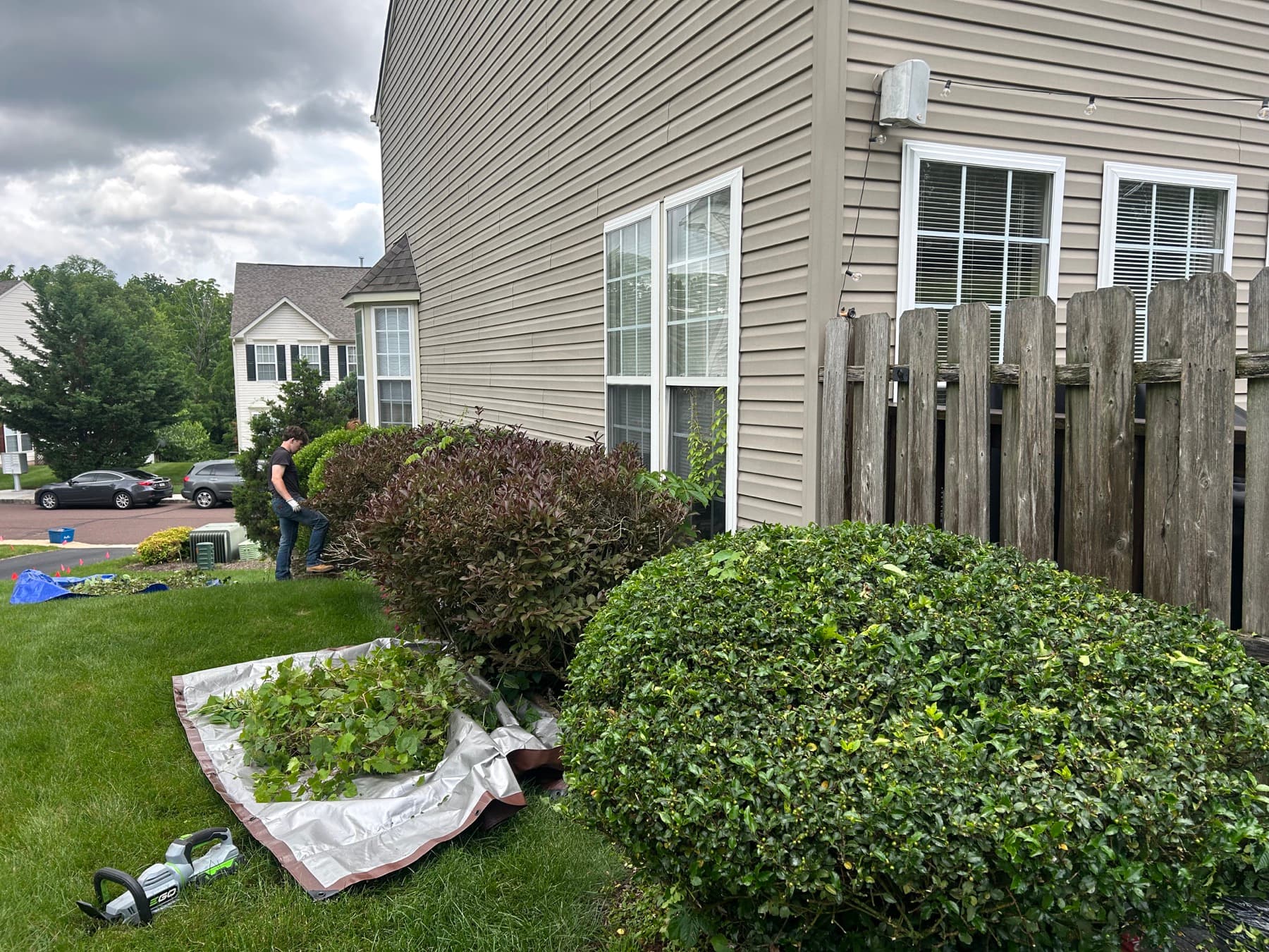 Bush Trimming project by Iconic Landscaping