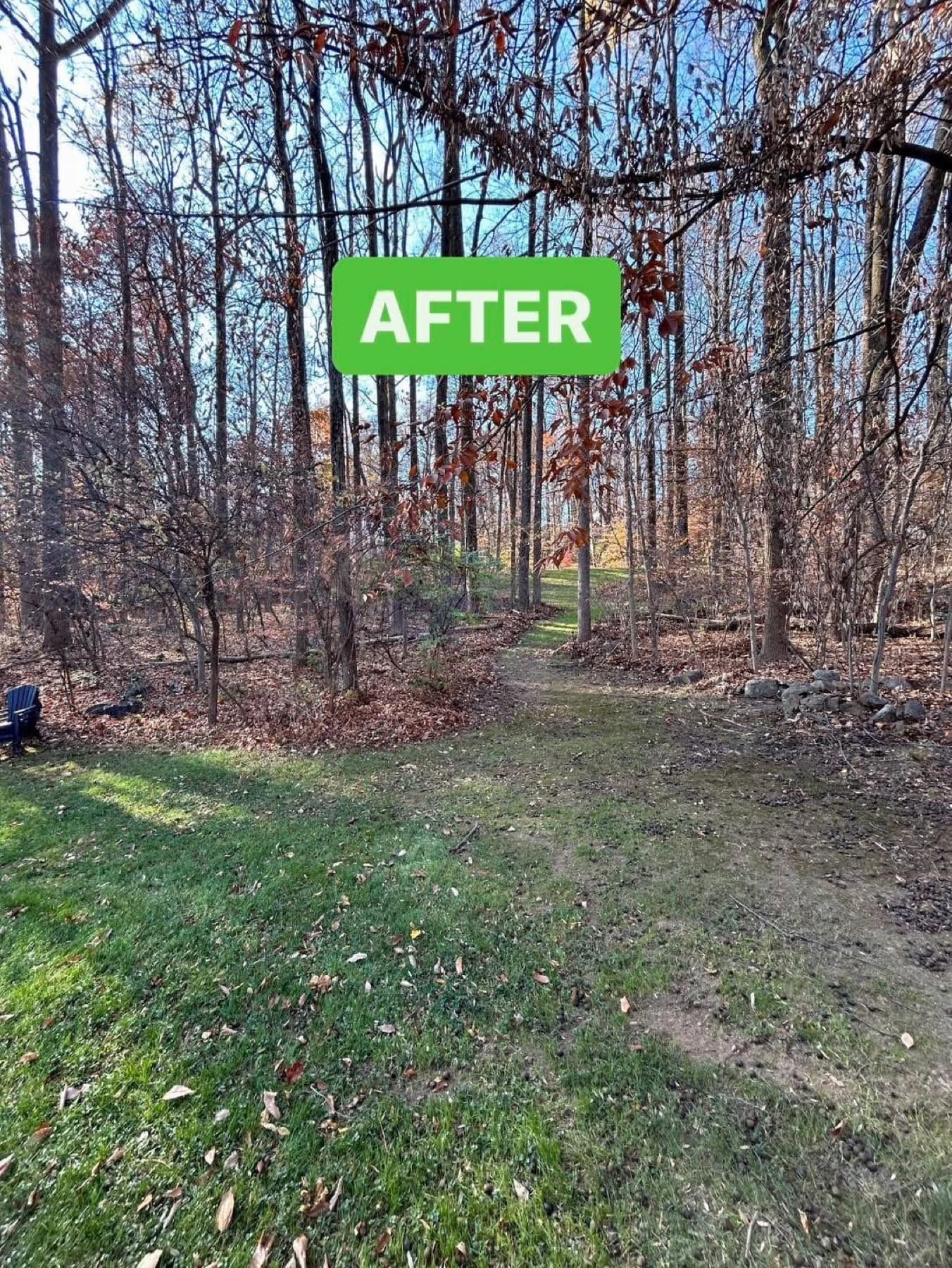 Newly defined bed edges with fresh hardwood mulch on a Pottstown-area property