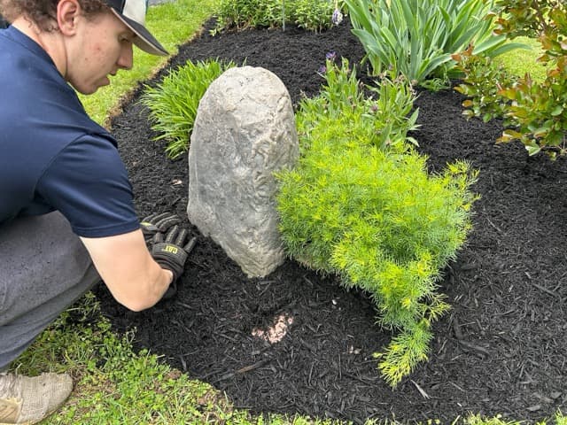 Planting in progress