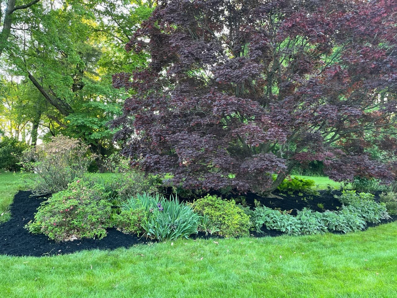 Finished planting after service